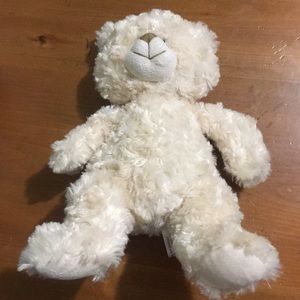 Selling a white teddy bear. Great condition.